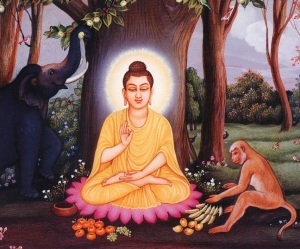Budas Šākjamuni dzīve