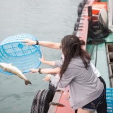 10 Pareizu Darbību Veidi