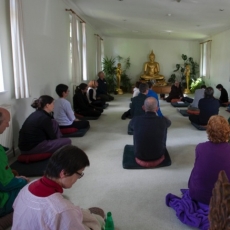 Budistu Sangha | Kopiena