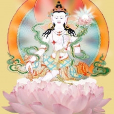 Sarvanivāraņaviškambhins